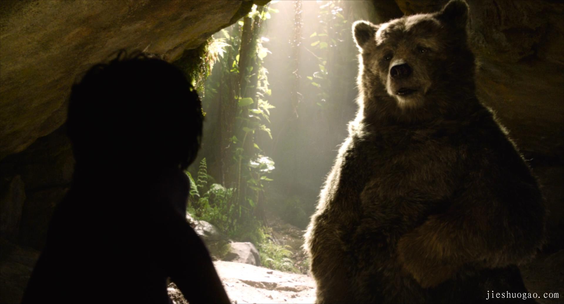 狼群养大的孩子挑战森林王者|《奇幻森林》7分钟2571字解说稿